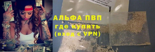 стаф Богородск