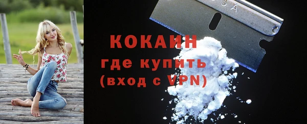 гашик Аркадак