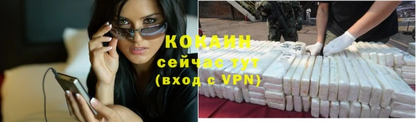 гашик Аркадак