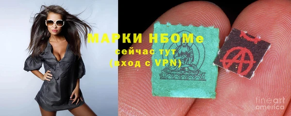 гашик Аркадак