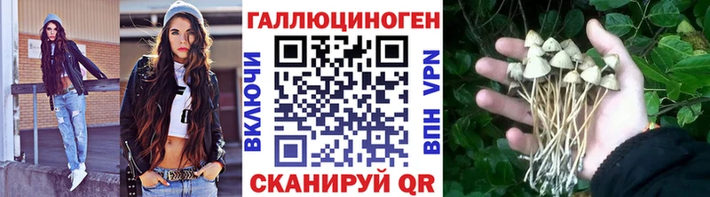 Галлюциногенные грибы Cubensis  Кировск 